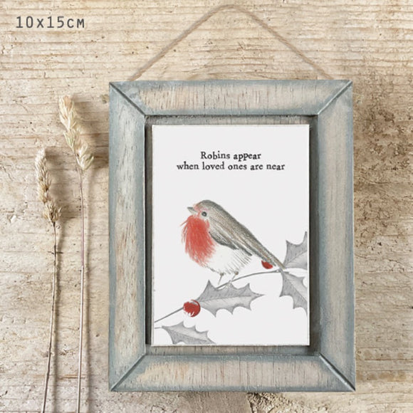 East of India Robin Picture - Robins Appear When Loved Ones Are Near