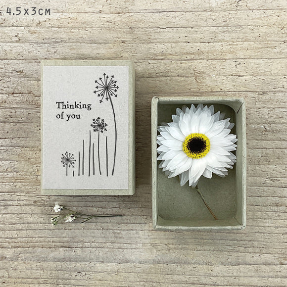 East of India Matchbox Gift - Thinking of you