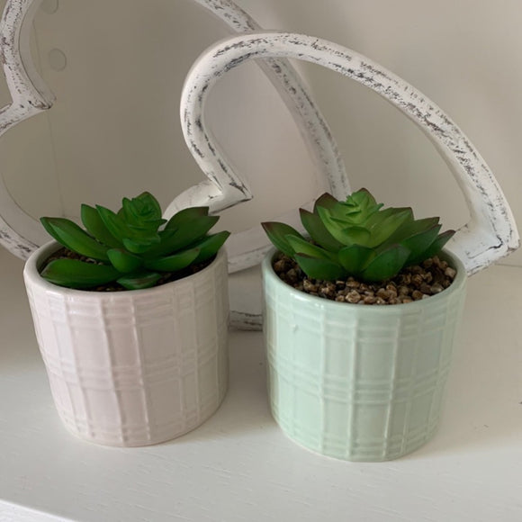 Set of Two Gorgeous Artificial Cactus Succulents Each Sat in an Attractive Porcelain Pot 