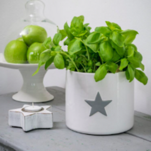 White Ceramic Flower Pot With Grey Star Design