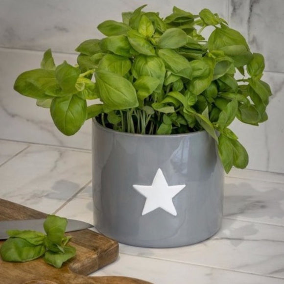 Grey Ceramic Plant Pot With White Star Design